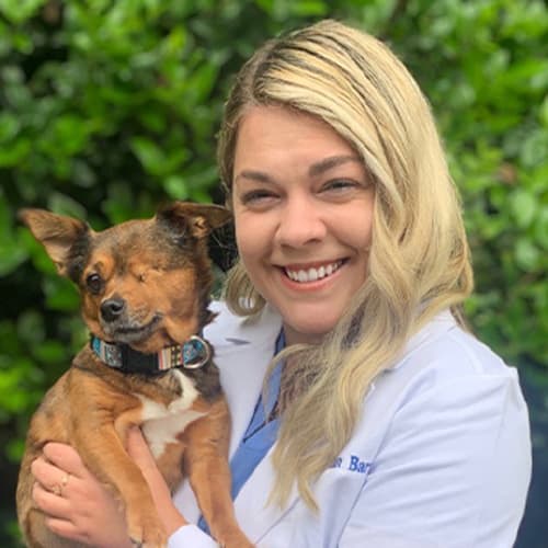 Dr. Meghan Barnes, Rock Hill Veterinarian